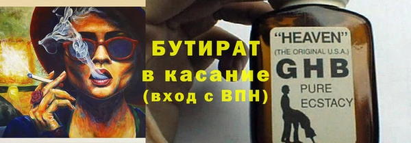 прущие грибы Бородино