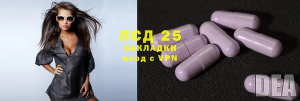 прущие грибы Бородино