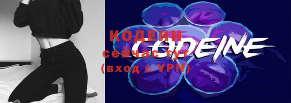 прущие грибы Бородино