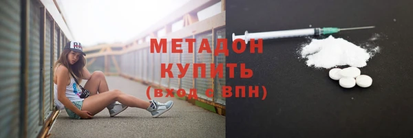прущие грибы Бородино