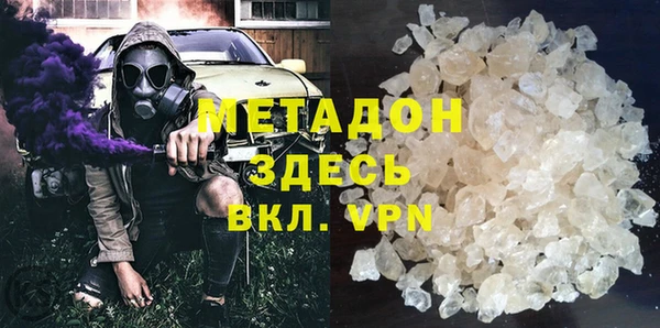 прущие грибы Бородино
