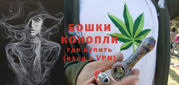 прущие грибы Бородино