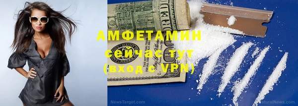 прущие грибы Бородино
