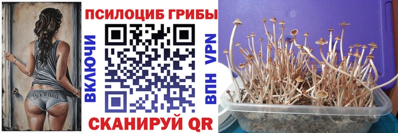 Купить где  Мамоново  Галлюциногенные грибы ЛСД 